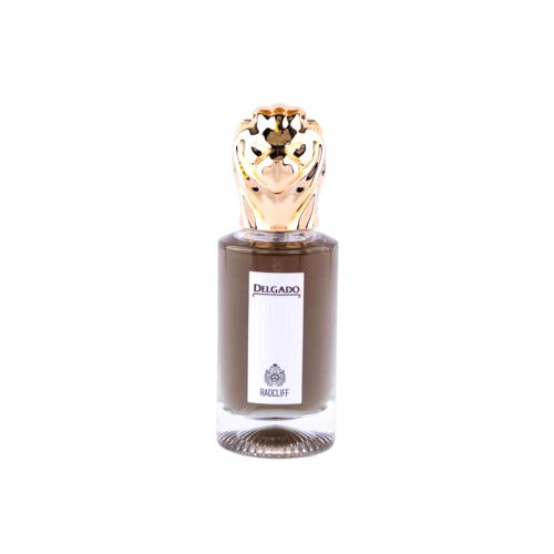 عطر جیبی مردانه دلگادو مدل رادکلیف با رایحه گرم حجم 25 میلی‌لیتر